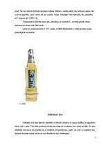 Referāts 'Speciālie alus veidi', 7.