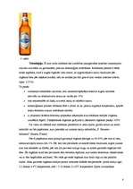 Referāts 'Speciālie alus veidi', 8.