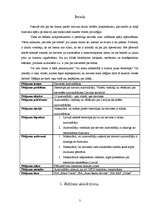 Referāts 'Sieviete pie stūres - vai pamatots stereotips?', 3.