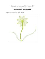 Konspekts 'Grafisko darbu veidošana ar Adobe Illustrator CS5. Pāreju veidošana', 1.