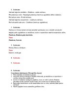 Konspekts 'Noliktavu pārvaldība', 8.