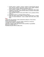 Konspekts 'Noliktavu pārvaldība', 11.