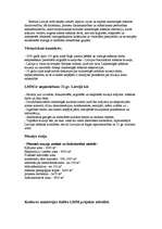 Konspekts 'Projekts "Trīs brāļi"', 8.