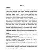 Referāts 'Akadēmiskais negodīgums', 9.