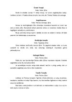 Referāts 'Ķīnas tempļi', 7.