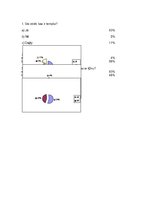 Referāts 'Ķīnas tempļi', 21.