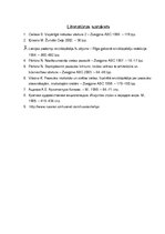 Referāts 'Ķīnas tempļi', 26.