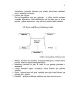 Referāts 'Uzņēmuma "XXX" mārketinga un stratēģijas analīze', 23.