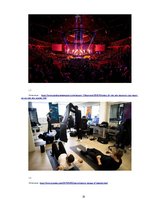 Referāts 'Реферат на тему становления киберспорта традиционным видом спорта', 19.