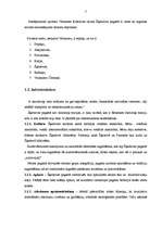 Referāts 'Krāslavas rajons, Šķeltovas pagasts', 7.