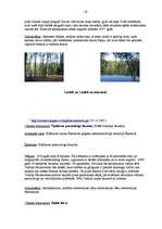 Referāts 'Krāslavas rajons, Šķeltovas pagasts', 20.