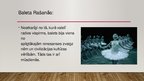 Prezentācija 'Balets', 6.