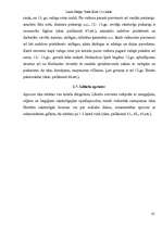 Referāts 'Senlaicīgas rotas Latvijas teritorijā Livonijas pastāvēšanas laikā', 10.