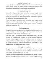 Referāts 'Senlaicīgas rotas Latvijas teritorijā Livonijas pastāvēšanas laikā', 13.