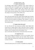 Referāts 'Senlaicīgas rotas Latvijas teritorijā Livonijas pastāvēšanas laikā', 17.