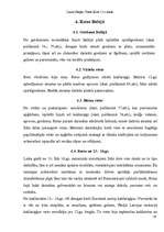 Referāts 'Senlaicīgas rotas Latvijas teritorijā Livonijas pastāvēšanas laikā', 19.