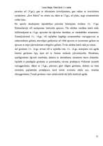 Referāts 'Senlaicīgas rotas Latvijas teritorijā Livonijas pastāvēšanas laikā', 21.