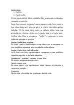 Referāts 'Senlaicīgas rotas Latvijas teritorijā Livonijas pastāvēšanas laikā', 44.