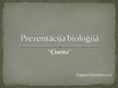 Prezentācija 'Cistīts', 1.
