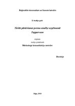 Referāts 'Tiešās pārdošanas posmu analīze uzņēmumā "Tupperware"', 1.