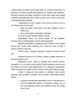 Referāts 'Runas satura uzbūve', 9.