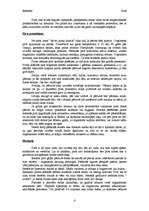 Referāts 'Pirtis', 4.