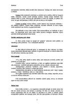 Referāts 'Pirtis', 8.