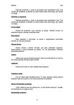 Referāts 'Pirtis', 10.