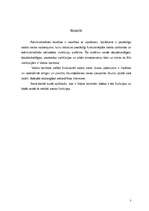 Referāts 'Valsts kontrole', 3.