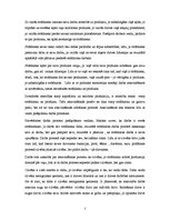 Referāts '19.gadsimta politiskā doma un 20.gadsimta radikāļi', 2.