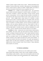 Referāts 'Personības jūtas un emocijas, raksturs un atmiņa', 26.
