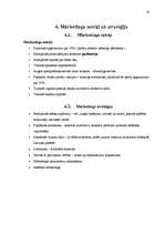 Prakses atskaite 'A/S "Kolonna"', 13.