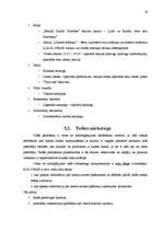 Prakses atskaite 'A/S "Kolonna"', 15.