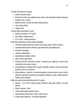 Prakses atskaite 'A/S "Kolonna"', 17.