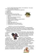 Eseja 'Proti aizstāvēt sevi', 2.