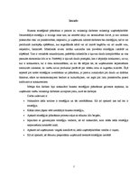 Referāts 'Biznesa stratēģiskā plānošana', 2.