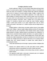 Referāts 'Biznesa stratēģiskā plānošana', 3.