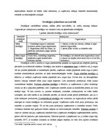 Referāts 'Biznesa stratēģiskā plānošana', 5.