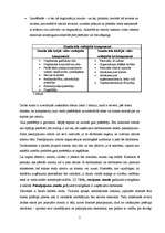 Referāts 'SIA "Sportland" zīmola audits', 5.