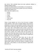 Referāts 'SIA "Sportland" zīmola audits', 6.