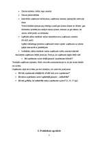 Referāts 'SIA "Sportland" zīmola audits', 7.