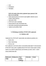 Referāts 'SIA "Sportland" zīmola audits', 9.