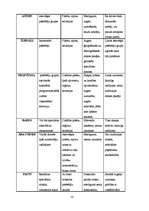 Referāts 'SIA "Sportland" zīmola audits', 10.