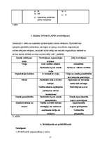 Referāts 'SIA "Sportland" zīmola audits', 17.