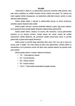 Prakses atskaite 'Mācību prakses atskaite Rīgas pašvaldības bērnu namā', 3.