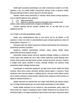 Prakses atskaite 'Mācību prakses atskaite Rīgas pašvaldības bērnu namā', 11.