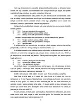 Prakses atskaite 'Mācību prakses atskaite Rīgas pašvaldības bērnu namā', 25.