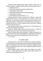 Prakses atskaite 'Mācību prakses atskaite Rīgas pašvaldības bērnu namā', 29.