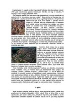 Referāts 'Rokmūzika', 8.