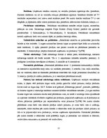 Referāts 'Klienta piesaistes metodes uzņēmumā SIA "Agande Finanses"', 13.